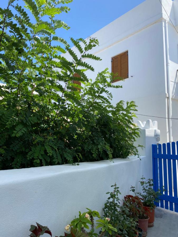 Blue Pearl Apartment Glinado Naxos المظهر الخارجي الصورة
