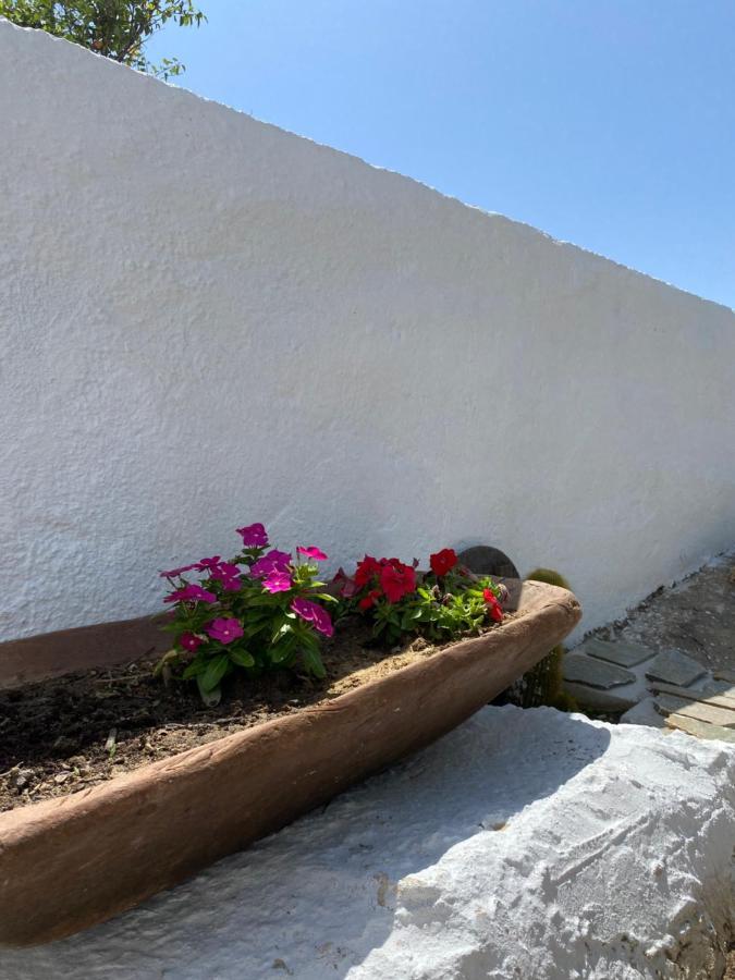 Blue Pearl Apartment Glinado Naxos المظهر الخارجي الصورة