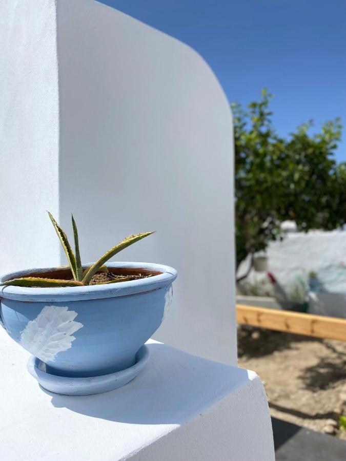 Blue Pearl Apartment Glinado Naxos المظهر الخارجي الصورة