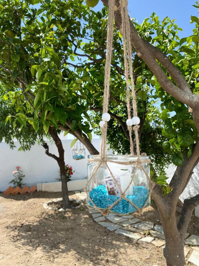 Blue Pearl Apartment Glinado Naxos المظهر الخارجي الصورة